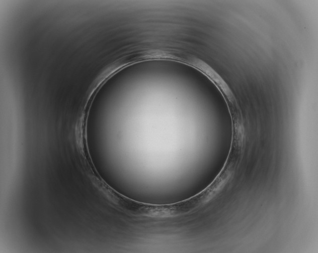 X0000102261002200807251326