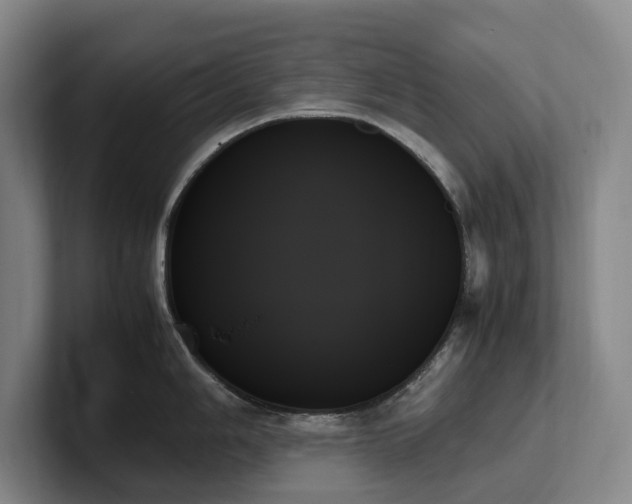 X0000102261006200807251325