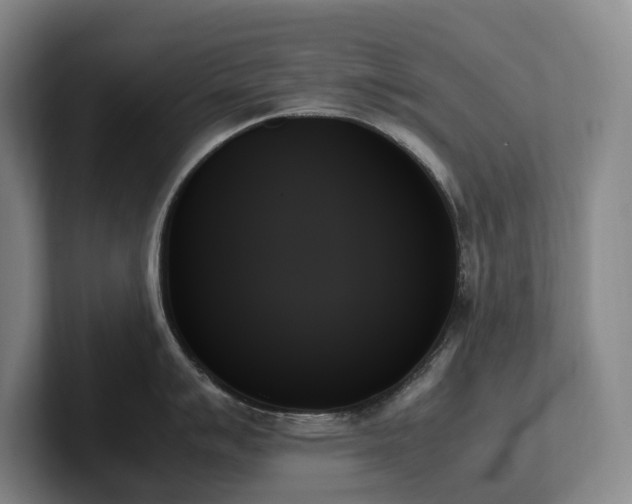X0000102261007200807251325