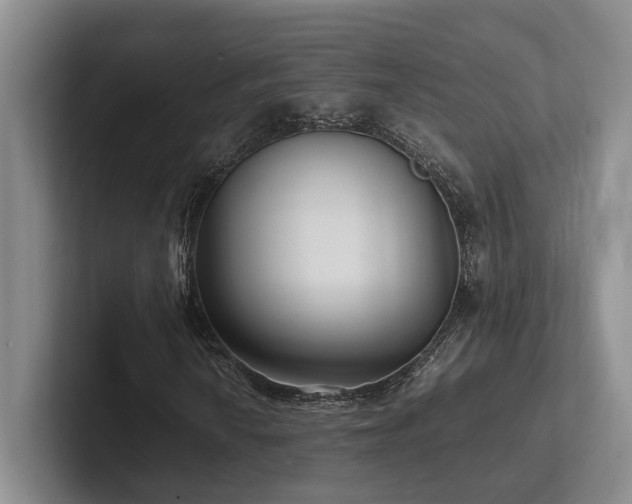 X0000102261010200807251325