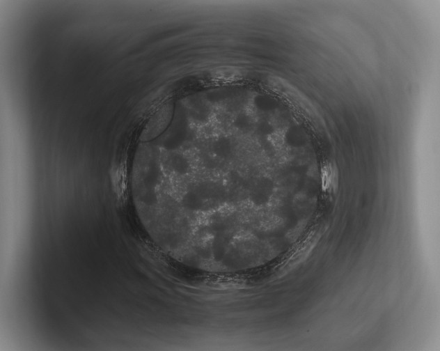 X0000102261011200807251325