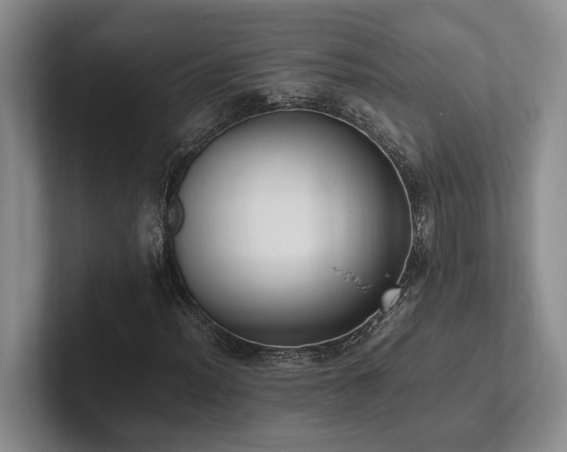 X0000102261012200807251325