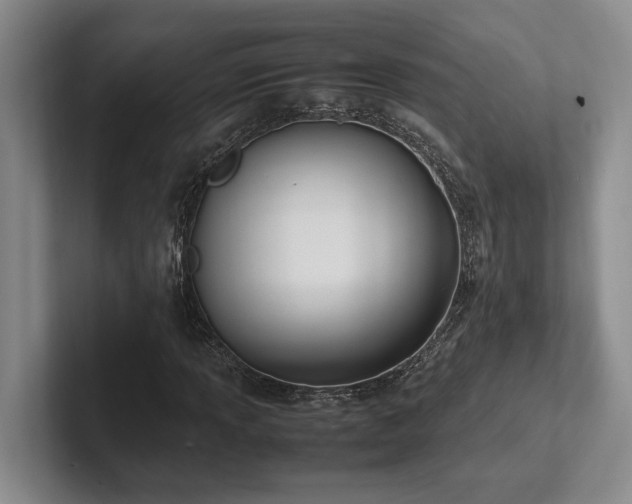 X0000102261013200807251325