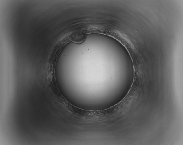 X0000102261015200807251325