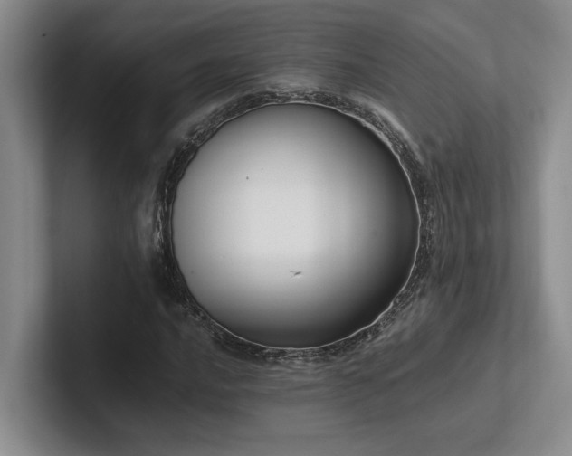 X0000102261016200807251325