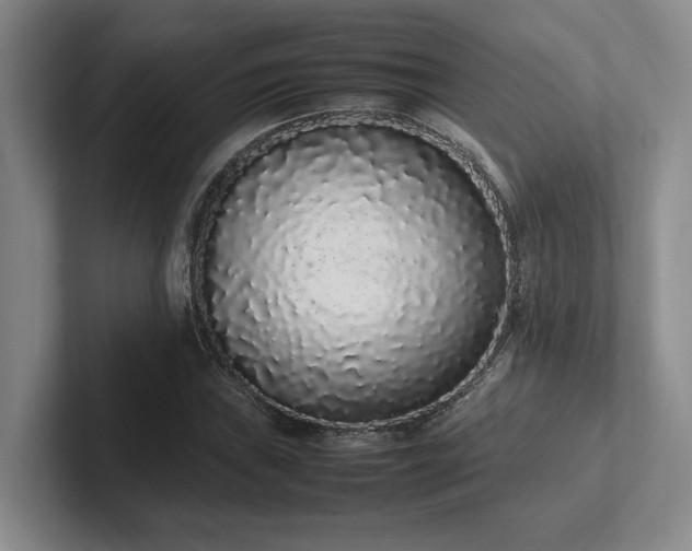 X0000102261019200807251325