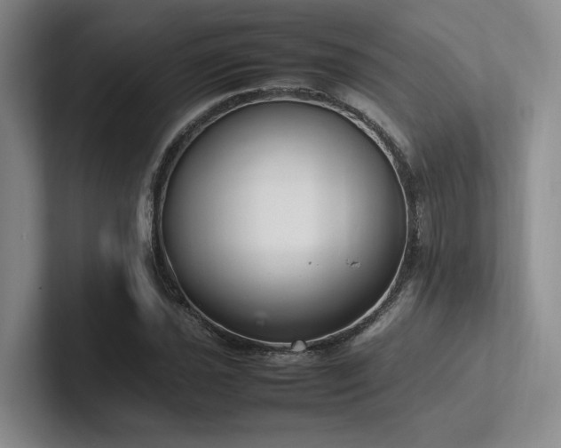 X0000102261021200807251325