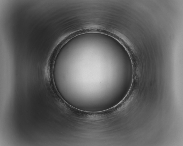 X0000102261022200807251325