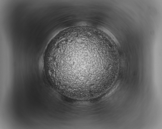 X0000102261023200807251325