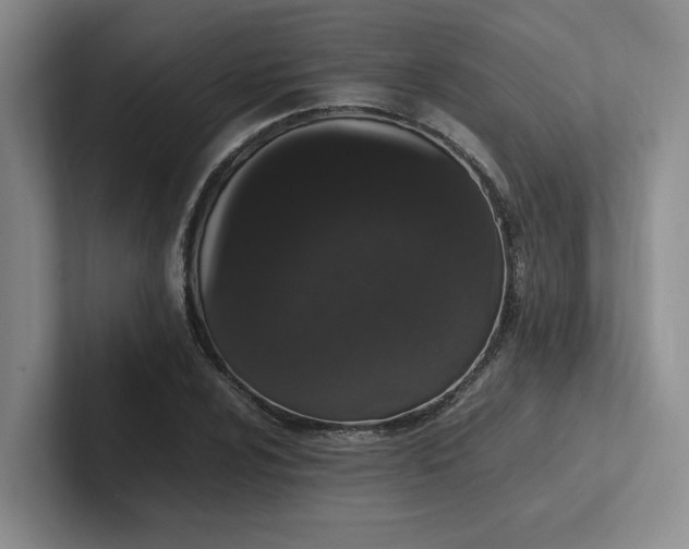 X0000102261024200807251325
