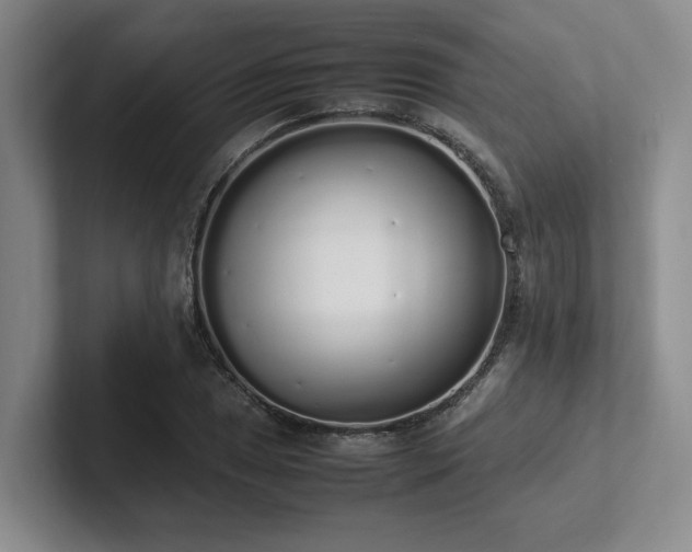 X0000102261025200807251325