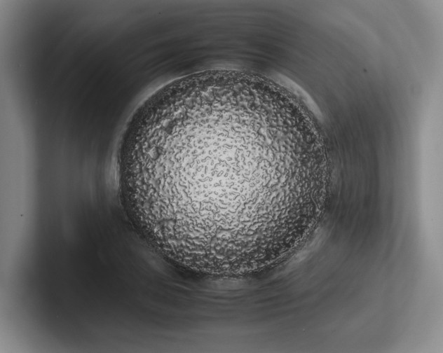 X0000102261027200807251325