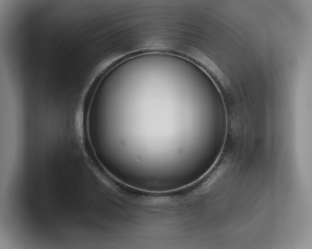 X0000102261030200807251325