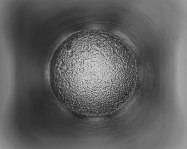 X0000102261031200807251325