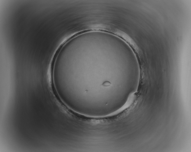 X0000102261032200807251325
