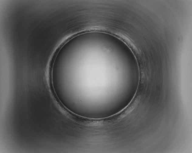 X0000102261038200807251325