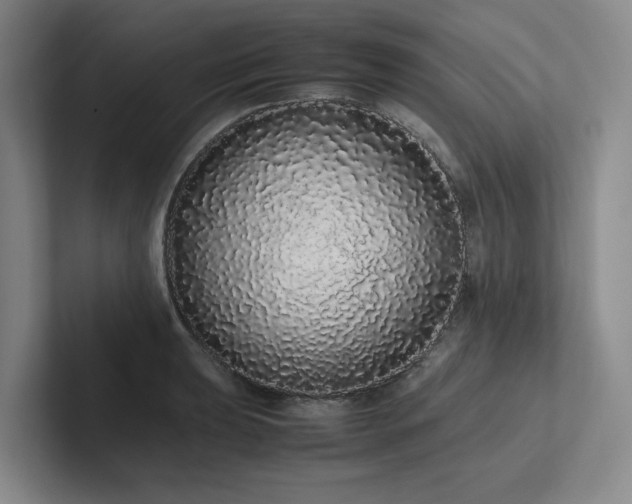 X0000102261039200807251325
