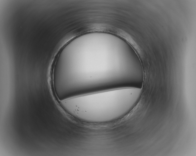 X0000102261042200807251325