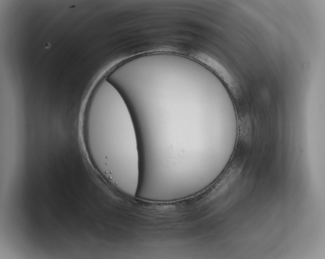 X0000102261043200807251325