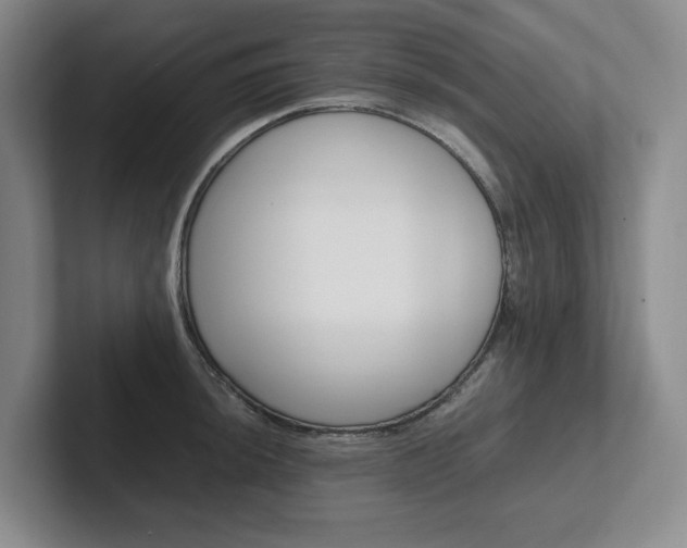 X0000102261044200807251325