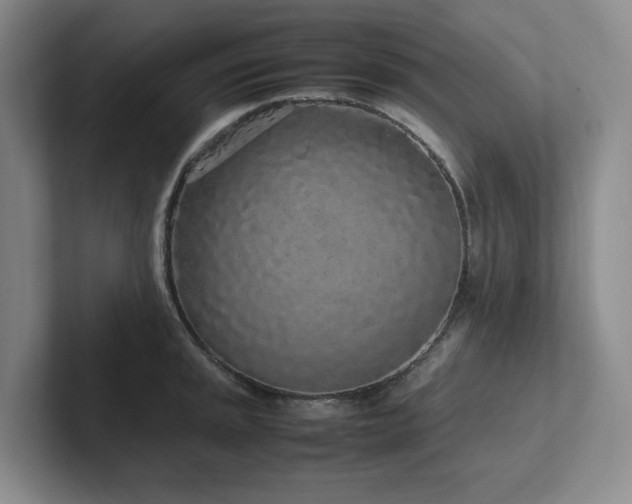 X0000102261045200807251325
