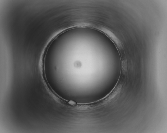 X0000102261046200807251325