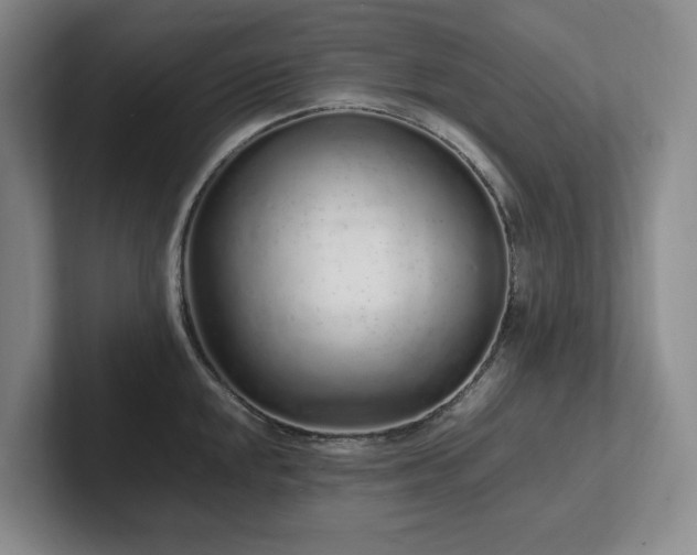 X0000102261048200807251325