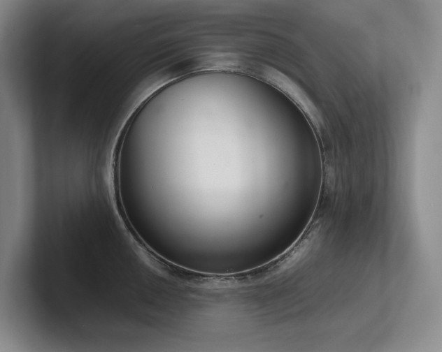 X0000102261050200807251325