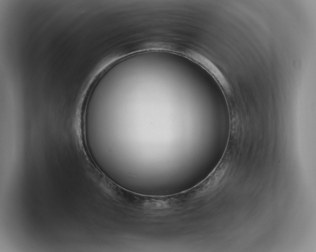 X0000102261051200807251325