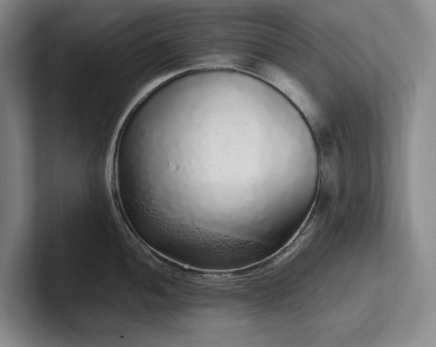 X0000102261052200807251325