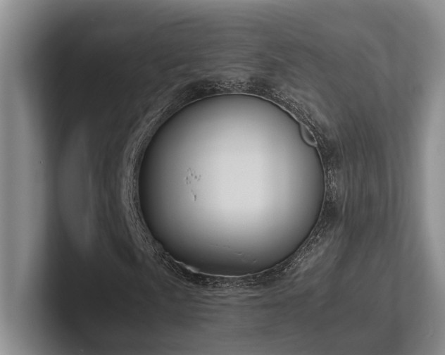 X0000102261057200807251325