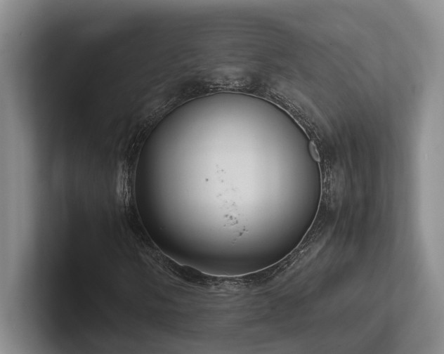X0000102261058200807251325