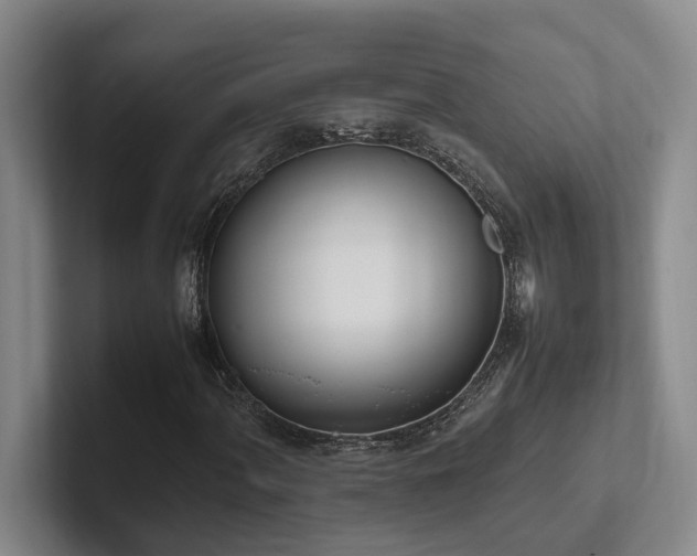 X0000102261060200807251325