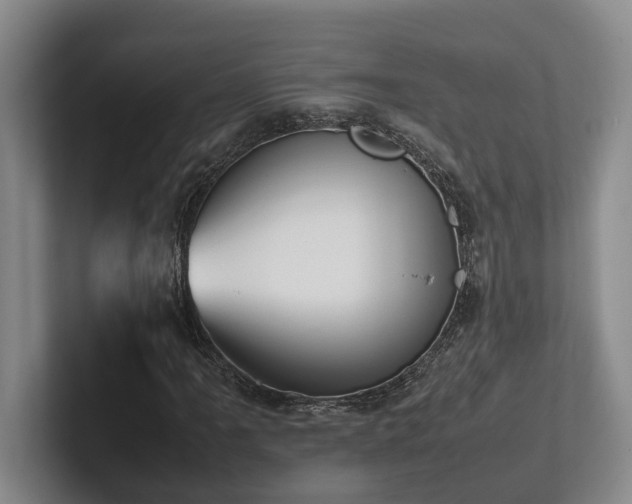 X0000102261061200807251325