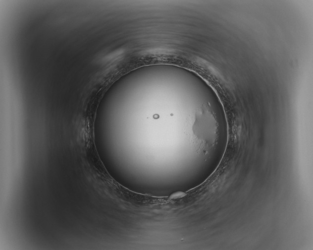 X0000102261062200807251325