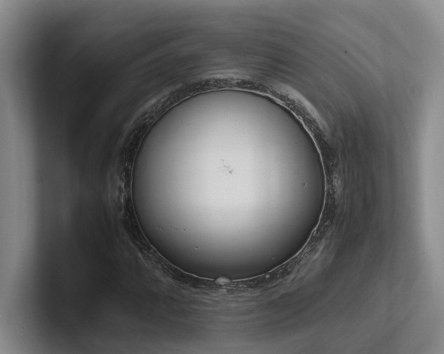 X0000102261064200807251325