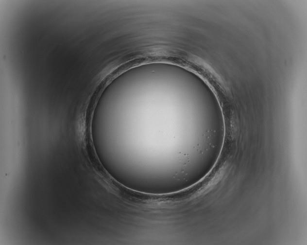 X0000102261065200807251325
