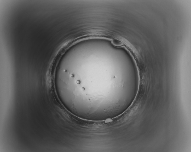 X0000102261067200807251325