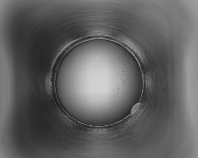 X0000102261068200807251325