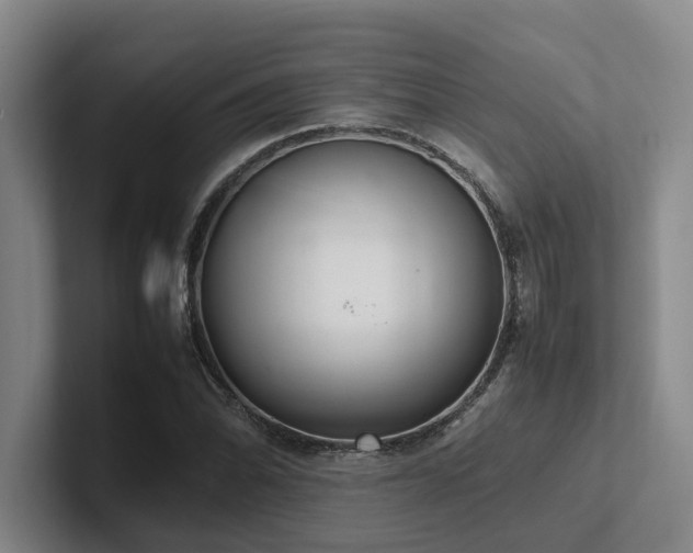 X0000102261070200807251325