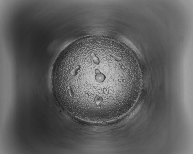 X0000102261071200807251325