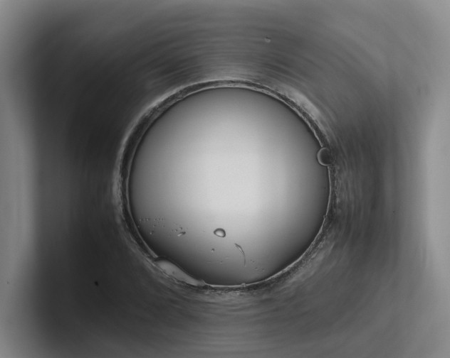 X0000102261072200807251325