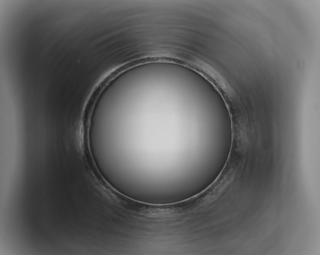 X0000102261076200807251325