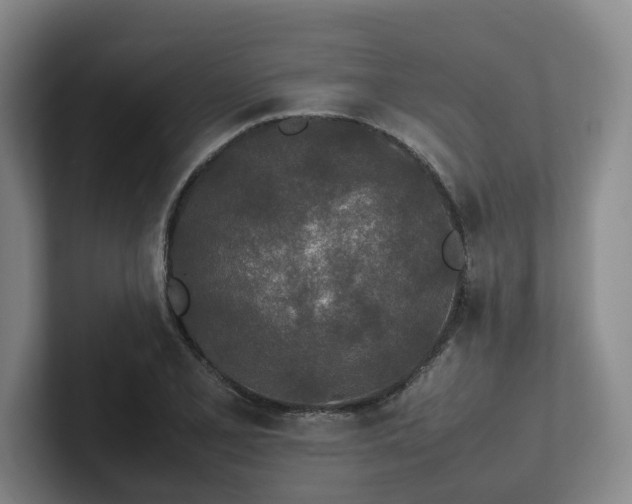 X0000102261077200807251325