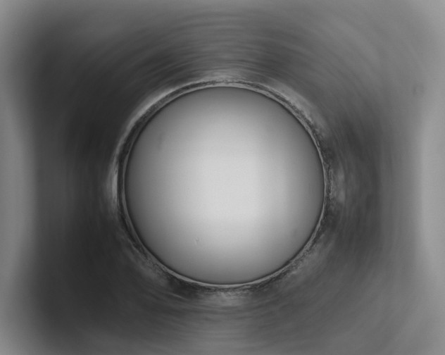 X0000102261078200807251325
