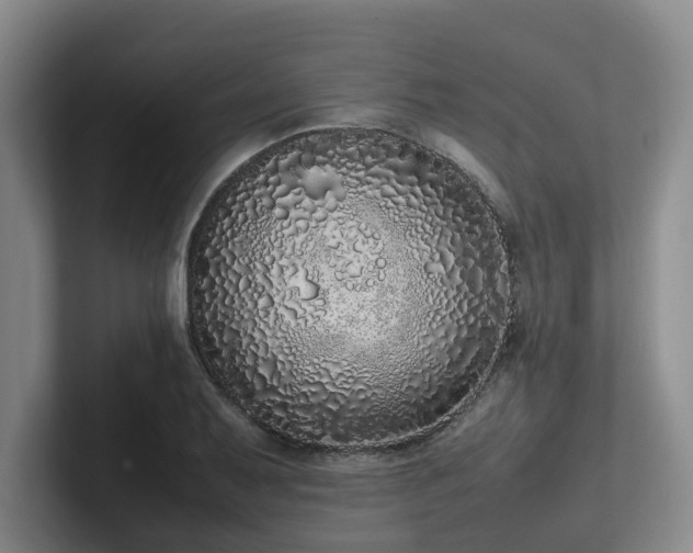 X0000102261079200807251325