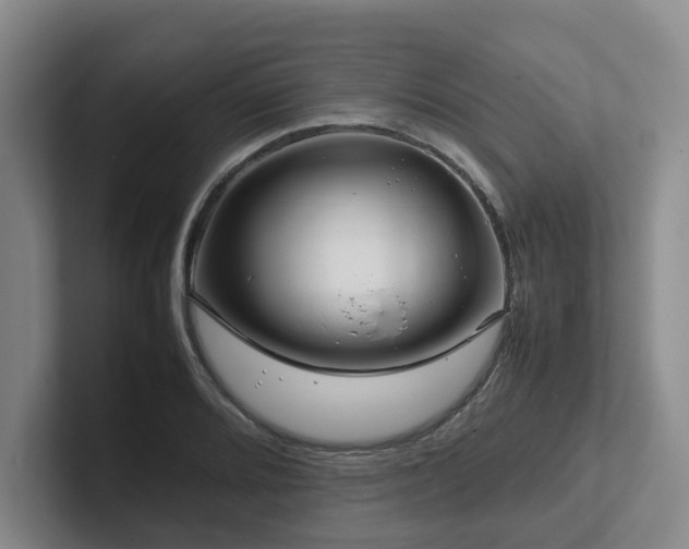 X0000102261080200807251325