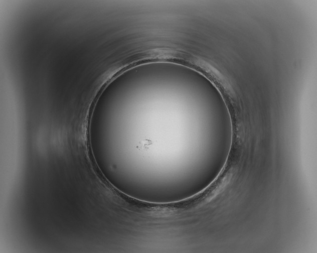 X0000102261081200807251325