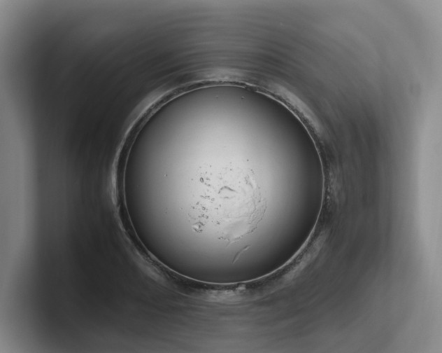 X0000102261082200807251325