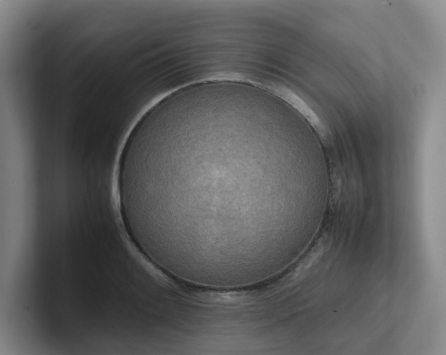 X0000102261084200807251324